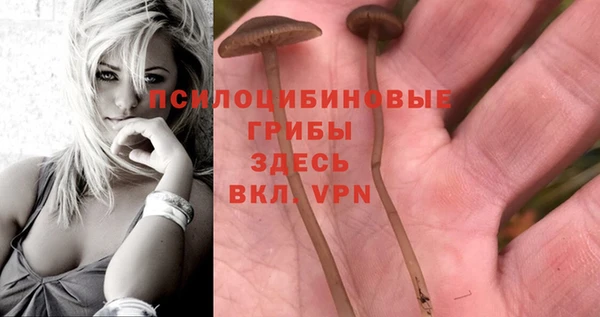 индика Алексин