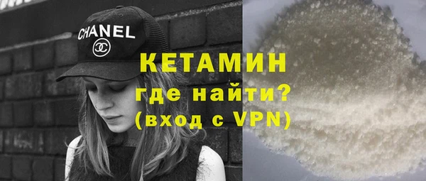 индика Алексин