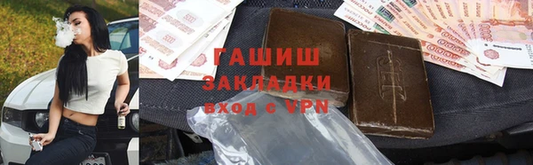 стаф Алзамай