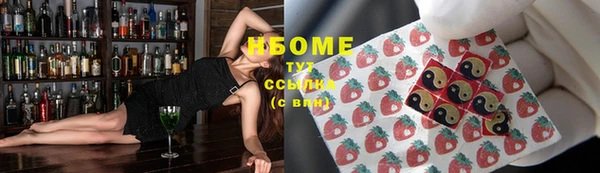стаф Алзамай