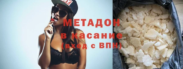 стаф Алзамай