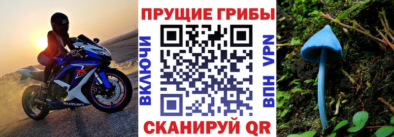 Галлюциногенные грибы GOLDEN TEACHER  Шимановск 